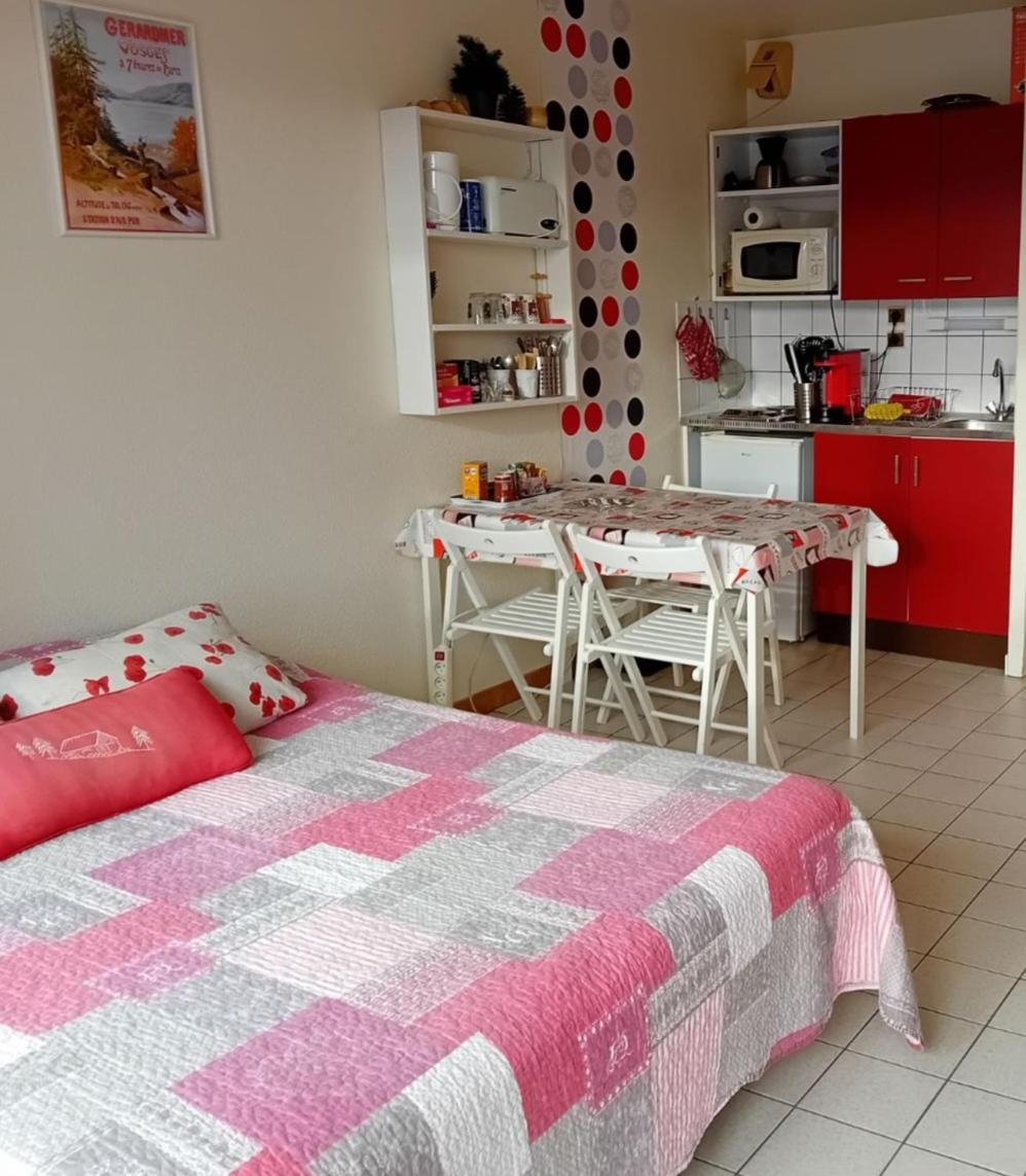 Studio les bleuets Gérardmer Extérieur photo